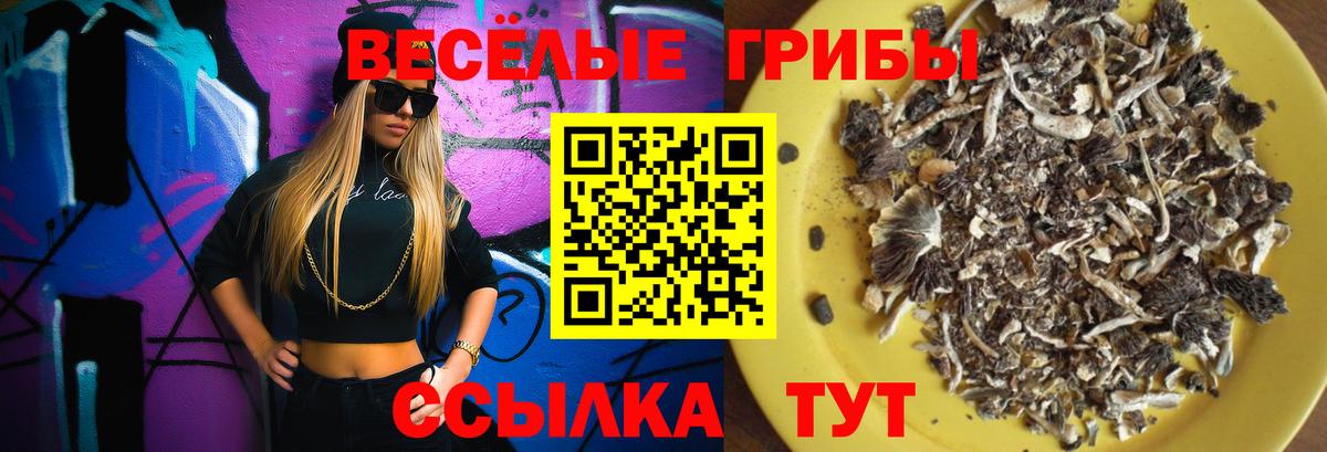 Галлюциногенные грибы Magic Shrooms  Псилоцибиновые грибы ЛСД  Сухой Лог  Вход с VPN 